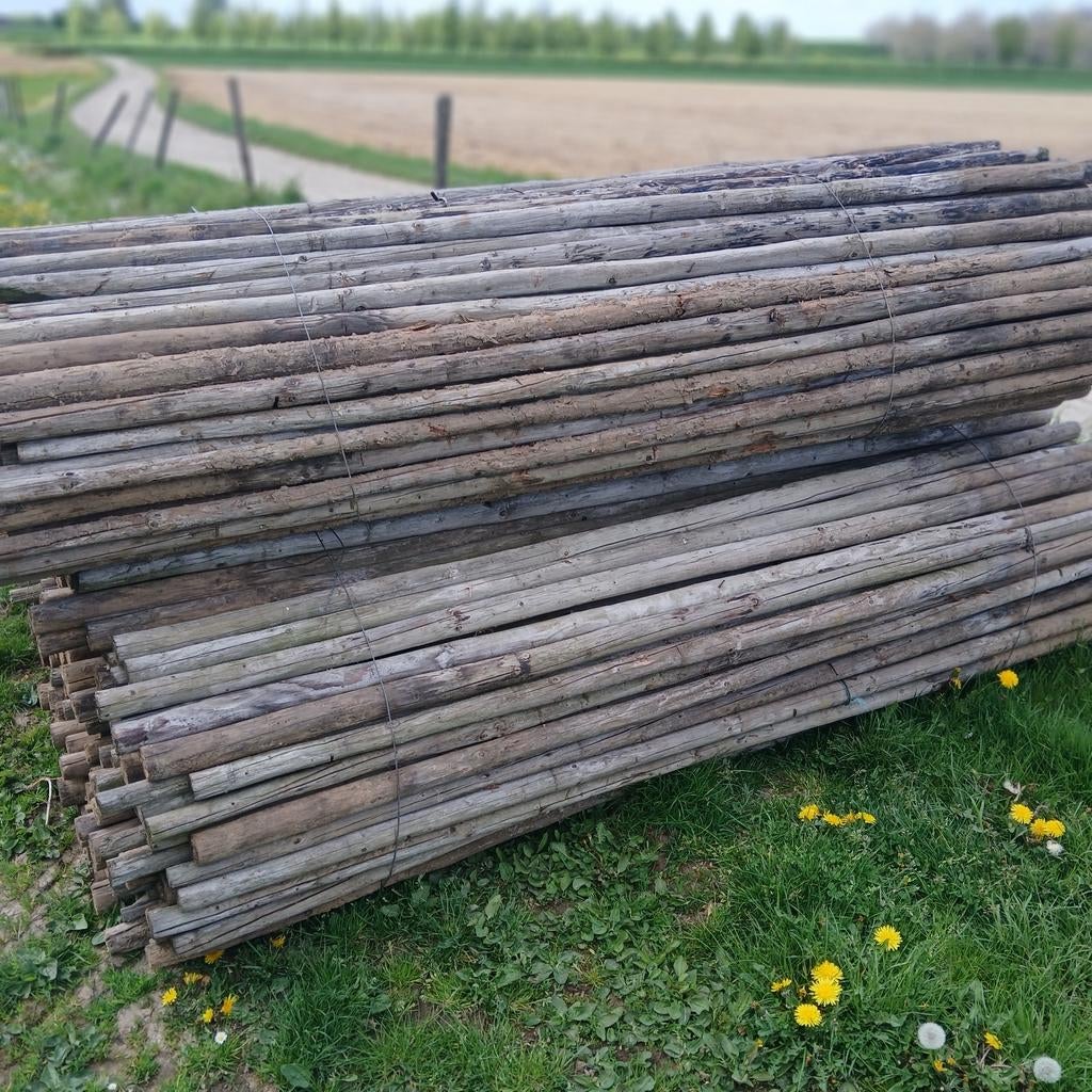 Gebruikte fruitboompalen 2,50m lang, 5-6cm dik, Ophalen, Gebruikt, 250 cm of meer, Palen