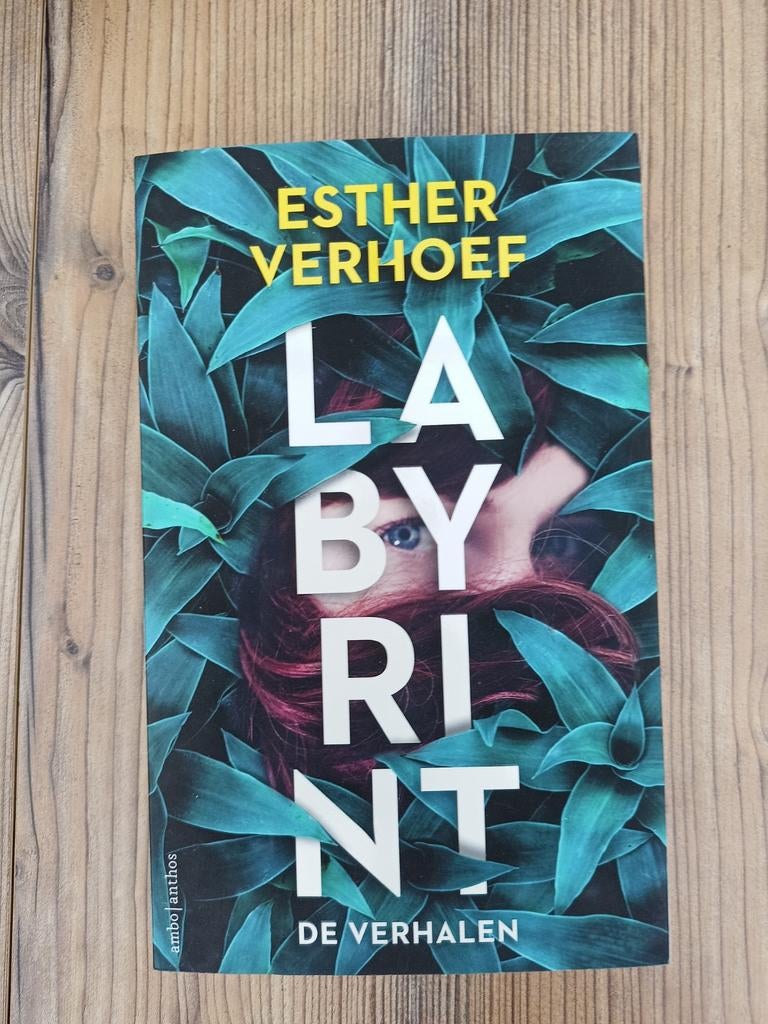 Esther Verhoef - Labyrint- De verhalen, Ophalen of Verzenden, Zo goed als nieuw, Esther Verhoef