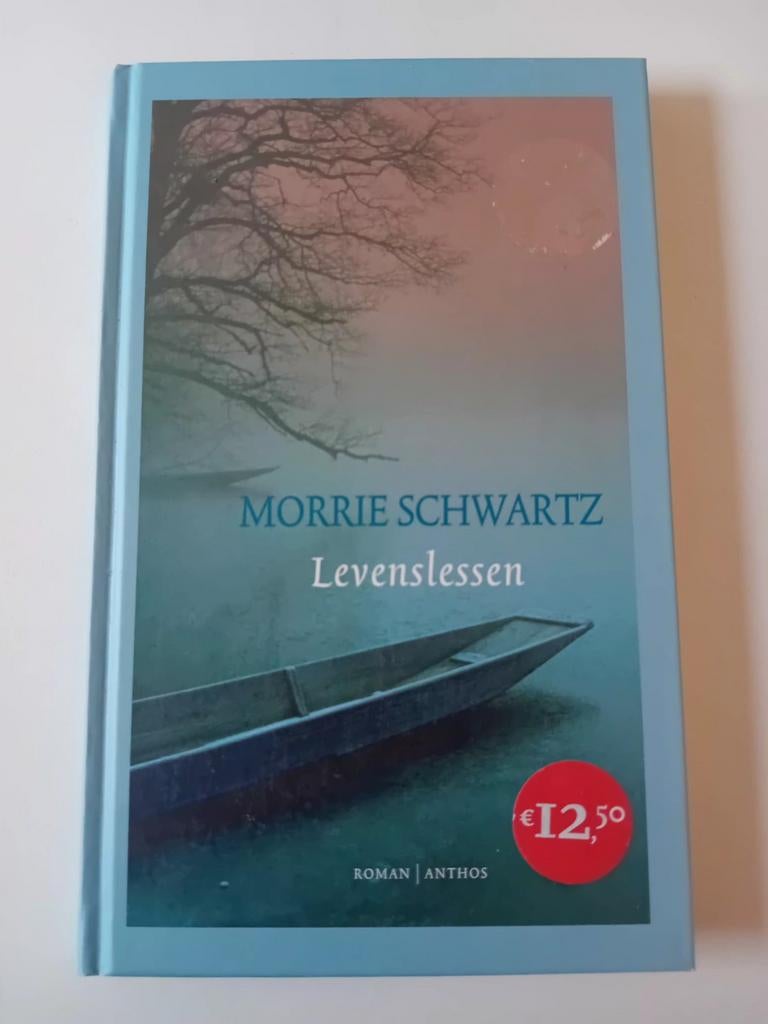 Levenslessen  - Morrie Schwartz, Ophalen of Verzenden, Zo goed als nieuw
