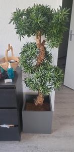 150 cm hoge Bonsai kunstplant, Ophalen, Zo goed als nieuw