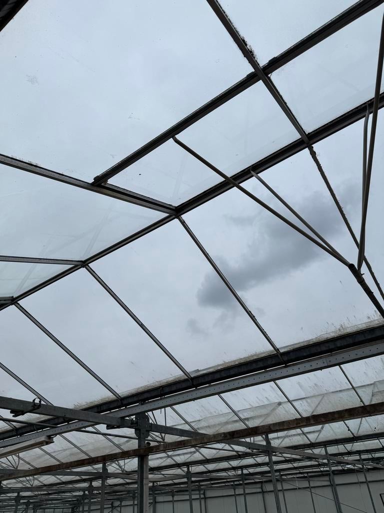Tuindersglas in diverse maten, Gebruikt, 80 tot 120 cm, Glasplaat, 160 cm of meer