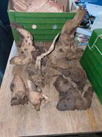 Aquarium boomstammen verschillende, Ophalen, Plant(en), Steen of Hout