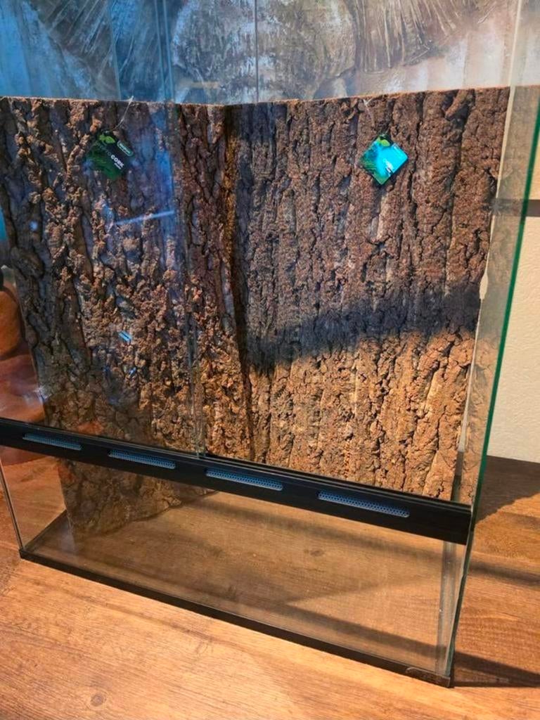 Nieuw terrarium 60x40x80 (lxbxh), Ophalen, Nieuw, Terrarium of Paludarium