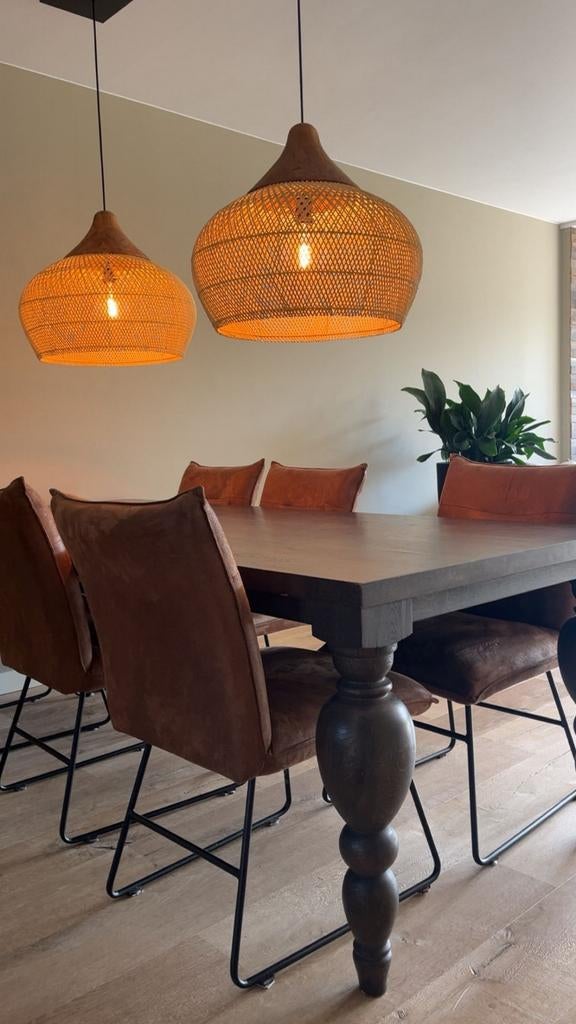 Design Eettafel met 6 hele mooie stoelen zgan., 200 cm of meer, Zo goed als nieuw, Rechthoekig, 50 tot 100 cm