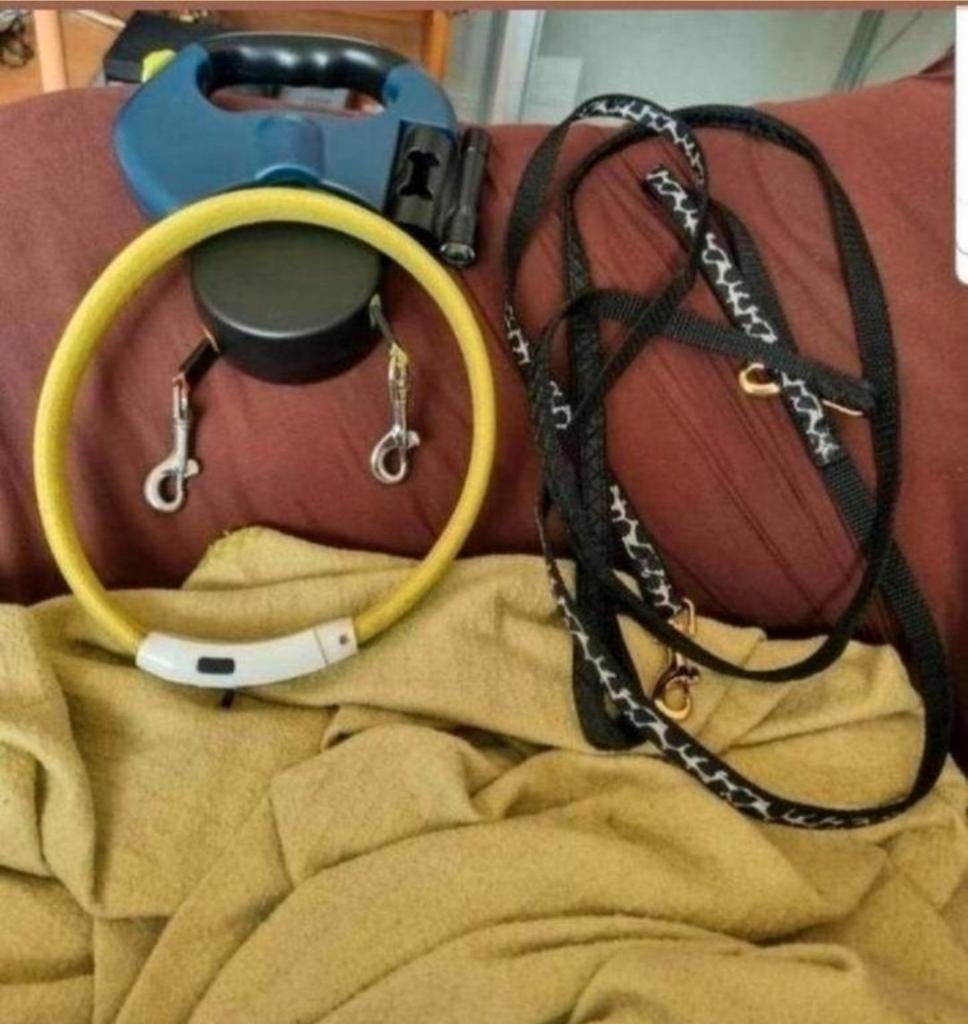 Hondenaccessoires alles in één koop bieden Zie foto's
Honden, Ophalen of Verzenden, Zo goed als nieuw