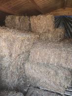 Suikerarm hooi, Dieren en Toebehoren, Ophalen, Vee