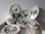 Nieuw Villeroy & Boch  Botanica. Voor verzamelaars., Ophalen of Verzenden