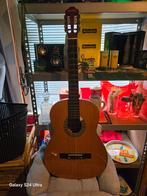 Gitaar bebruikte, Muziek en Instrumenten, Ophalen