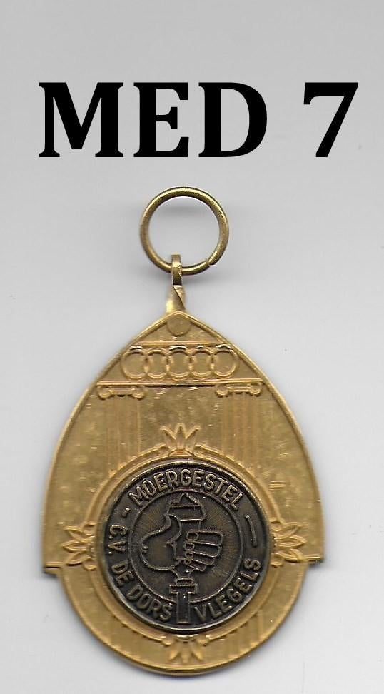 Med 7 carnavals medaille cv de dorsvlegels Moergestel, Ophalen of Verzenden, Zo goed als nieuw, Rvs of Chroom