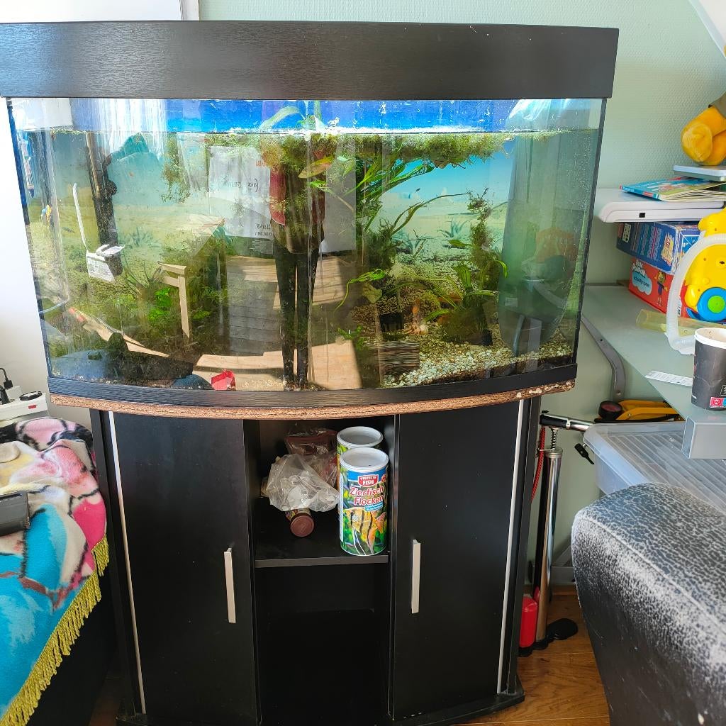 legge aquarum, Dieren en Toebehoren, Ophalen of Verzenden, Gebruikt, Leeg aquarium