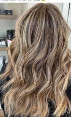 Model gezocht highlights deel of hele hoofd en evt knippen, Ophalen of Verzenden