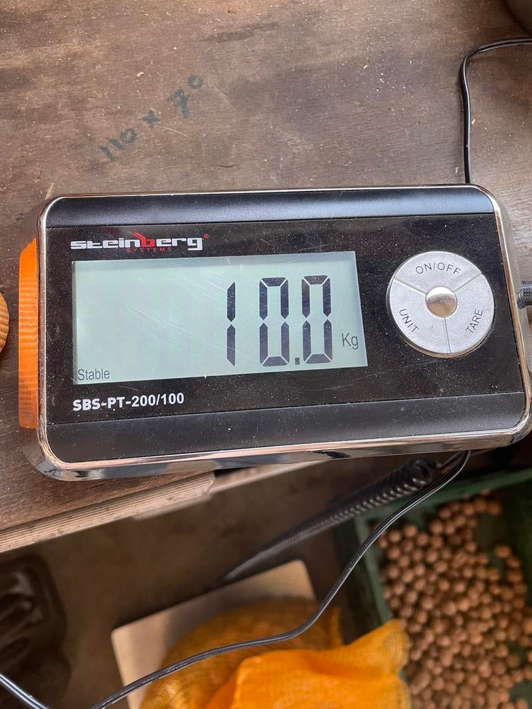 Walnoten TE KOOP!, Ophalen, Nieuw