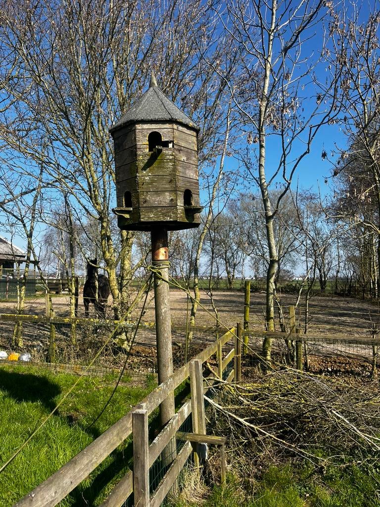 Mooie  Duiventil, Ophalen of Verzenden, Gebruikt, Hout, Vogelkooi