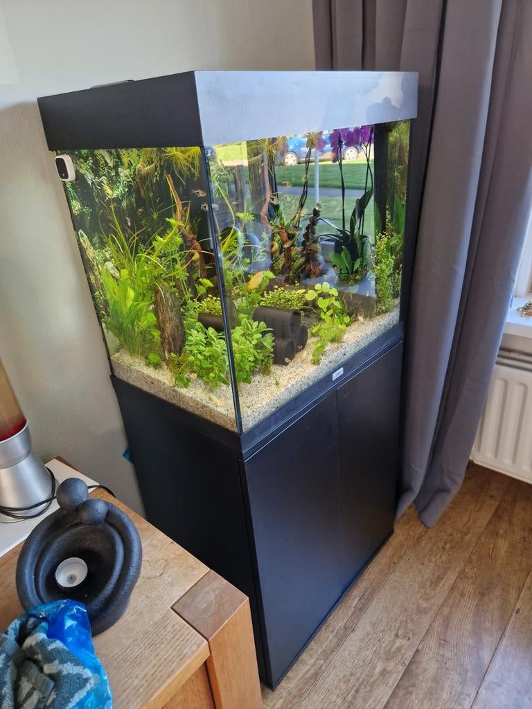 Juwel aquarium Lido 120, Ophalen, Leeg aquarium