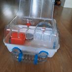 Dwerghamster kooi, Minder dan 60 cm, Kooi, Minder dan 75 cm, Ophalen of Verzenden