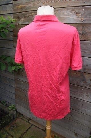 Poloshirt roze Ralph Lauren mt M Vaste prijs AANBIEDING, Kleding | Heren, Polo's, Ralph Lauren, Zo goed als nieuw, Roze, Verzenden