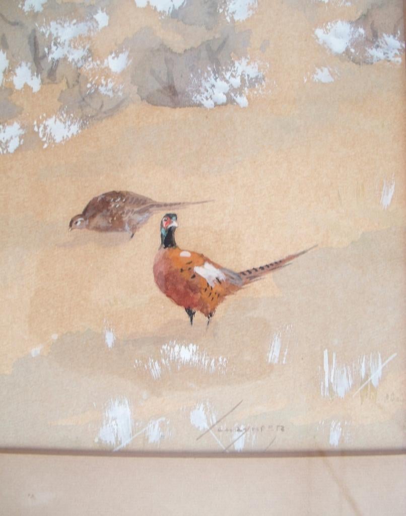 Jo Schrynder - (1894-1968) - Koppelfazanten - aquarel, Ophalen of Verzenden