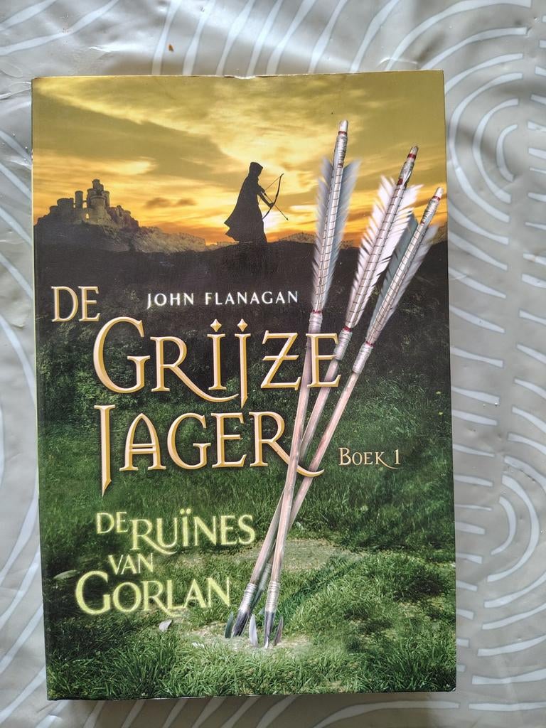 De Grijze Jager Boek 1: De Ruïnes van Gorlan, Boeken, Ophalen of Verzenden, Gelezen