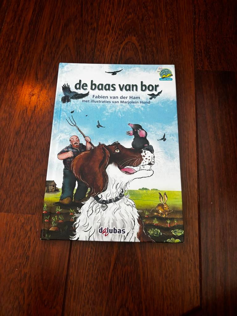 De baas van Bor - Fabien van der Ham (advr 177), Ophalen of Verzenden, Gelezen, Fictie algemeen