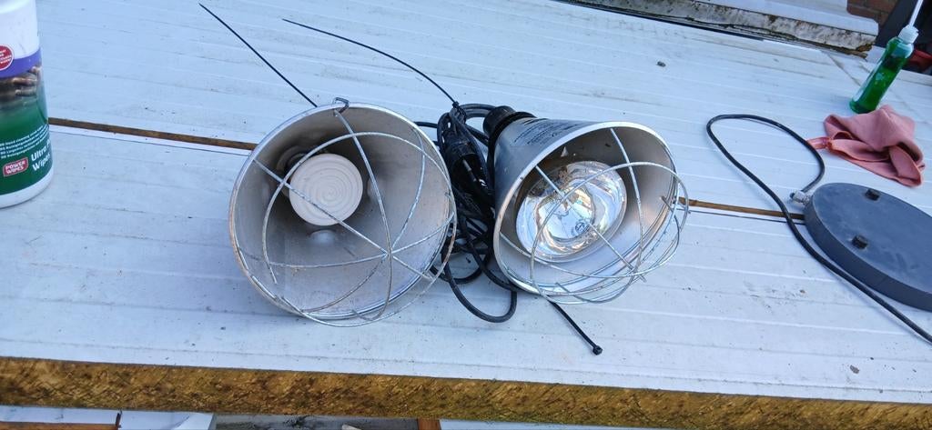 Warmtelampen 250watt, Dieren en Toebehoren, Ophalen of Verzenden