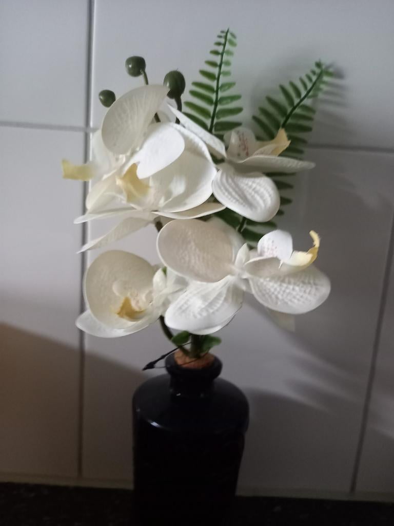 Kunstplant orchidee in zwarte vaas, Huis en Inrichting, Woonaccessoires | Vazen, Ophalen