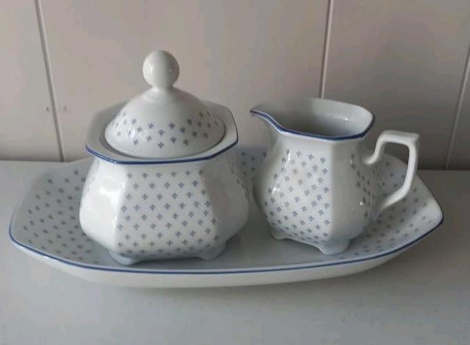 Seltmann Weiden Bavaria Roomstelletje Aurelia, Ophalen of Verzenden