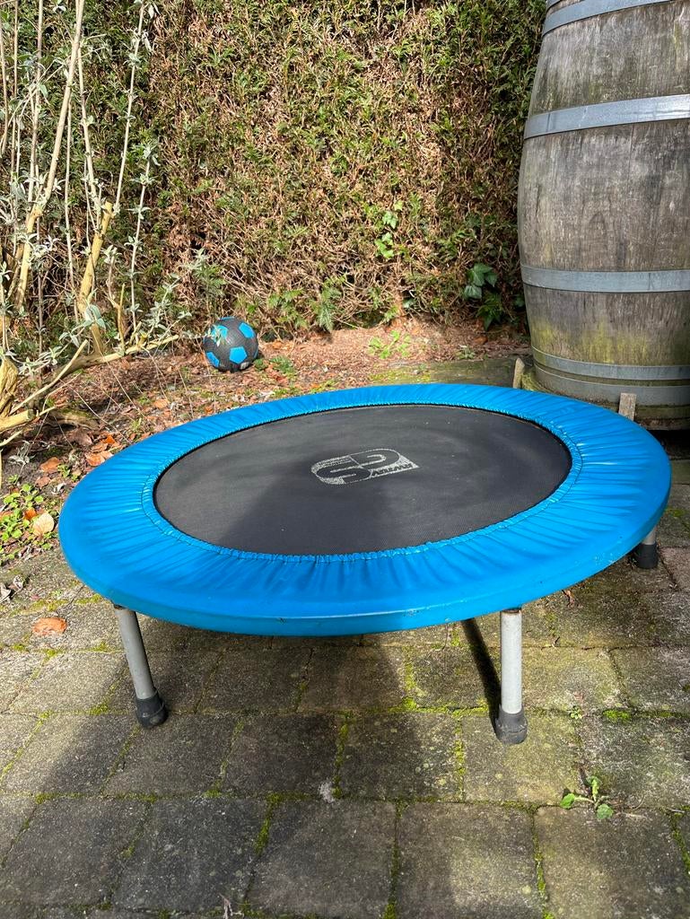 Minitrampoline peuter/kleuter, Ophalen, Gebruikt