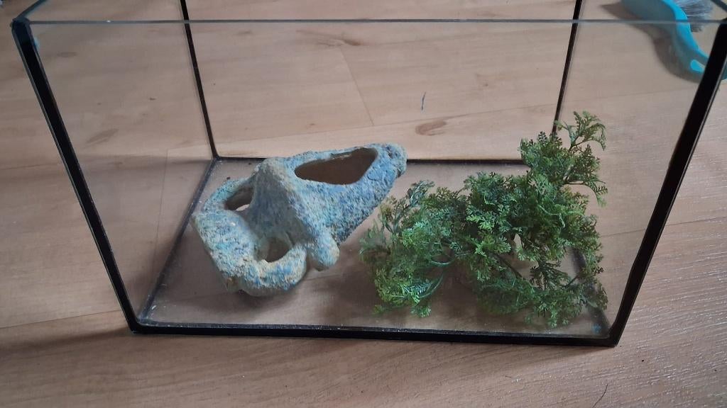 aquarium 30x20x20, Dieren en Toebehoren, Vissen | Aquaria en Toebehoren, Ophalen of Verzenden, Zo goed als nieuw, Leeg aquarium