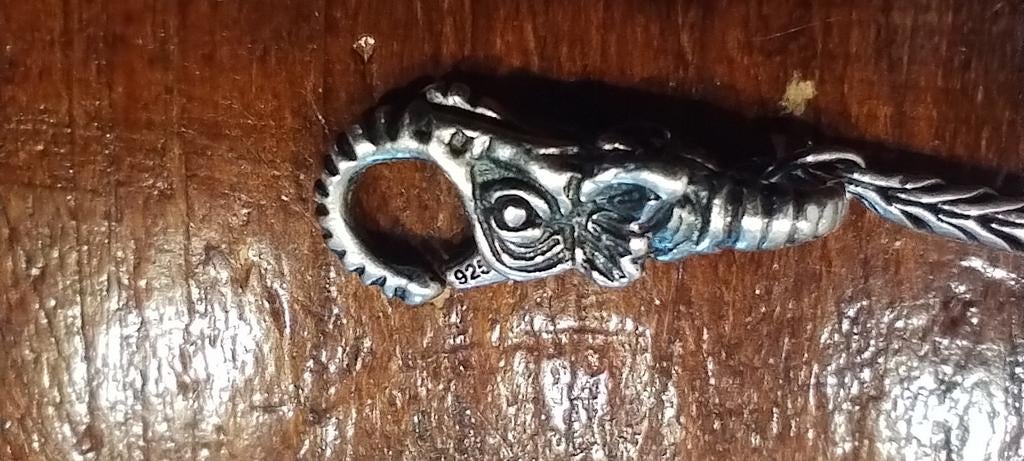 Armband met slot trollbeads, Sieraden, Tassen en Uiterlijk, Bedels, Ophalen of Verzenden, Zo goed als nieuw, Zilver, Trollbeads