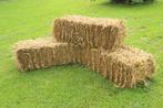 kleine balen stro, Dieren en Toebehoren, Ophalen, Vee