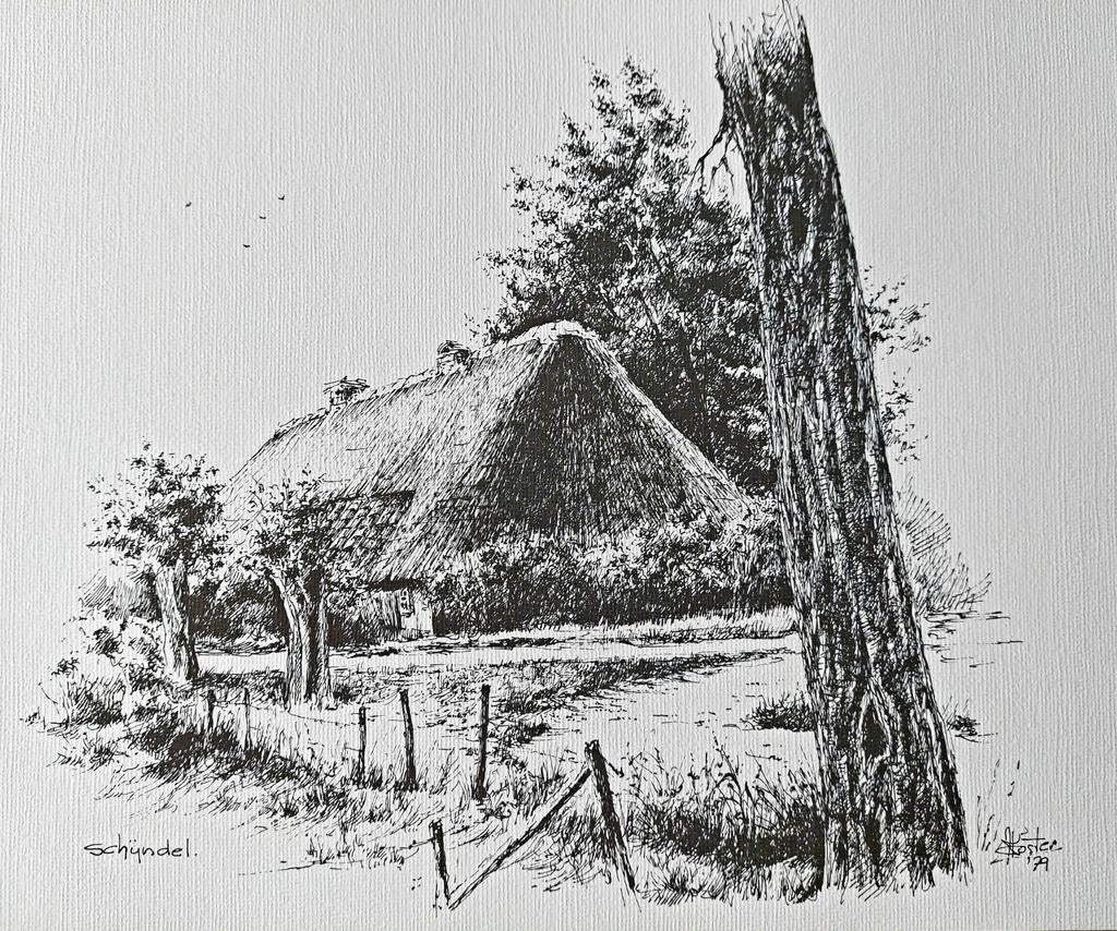 Schijndel ... boerderij in Wijbosch ... Kees Koster., Antiek en Kunst, Kunst | Tekeningen en Foto's, Ophalen of Verzenden