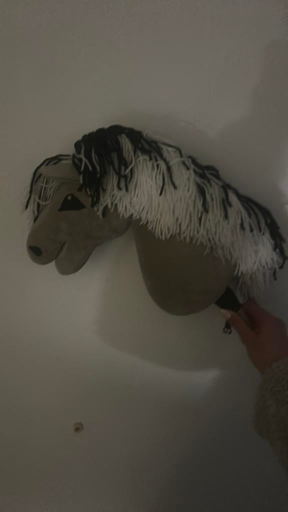 Fjord hobbyhore, Schildpad, 0 tot 2 jaar