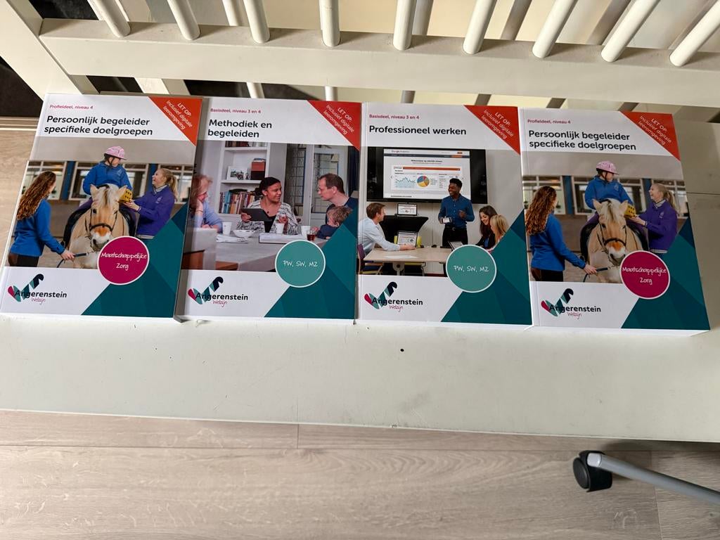 Angerenstein Welzijn boeken: Methodiek, Professioneel, Begel, Boeken, Ophalen of Verzenden, Gamma, Zo goed als nieuw, MBO