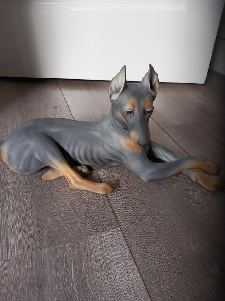 Mooie porseleinen Dobermann beeld - 40x23x20 cm, Ophalen of Verzenden