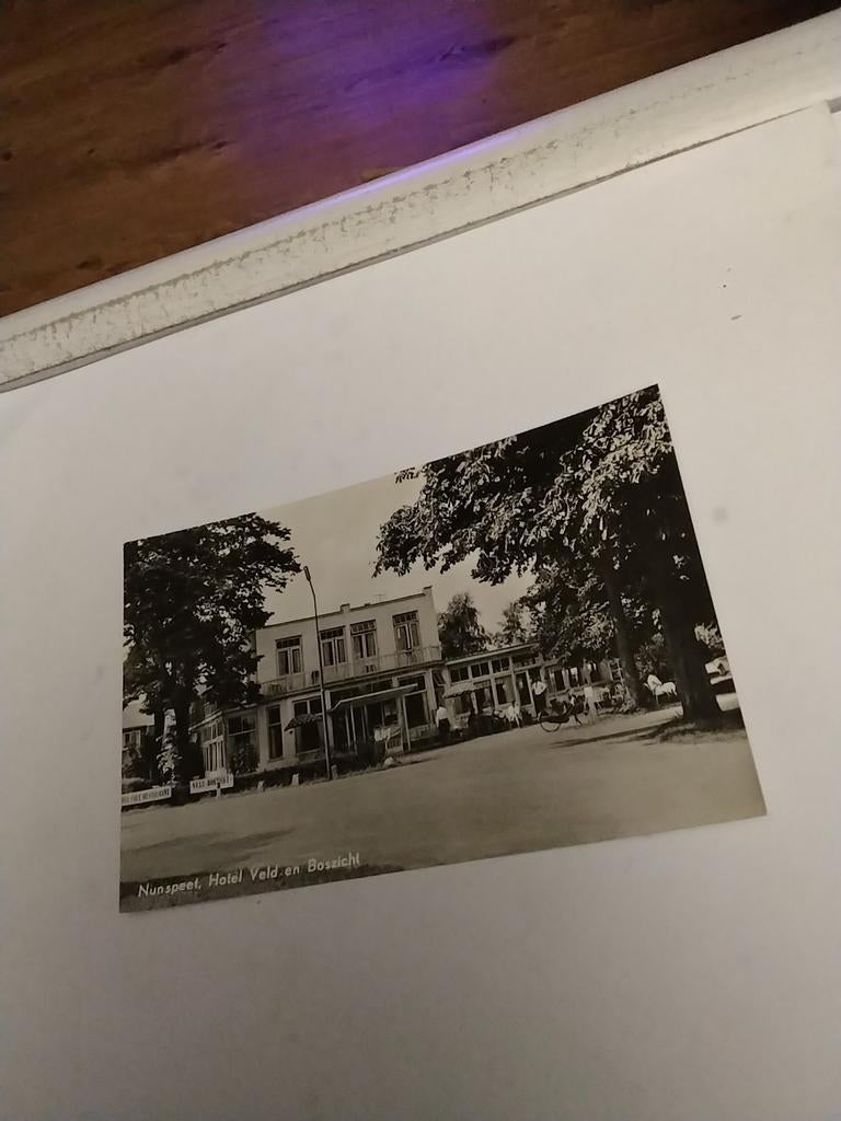 NUNSPEET. HOTEL VELD EN BOSZICHT, Ophalen of Verzenden, Voor 1920, Gelderland