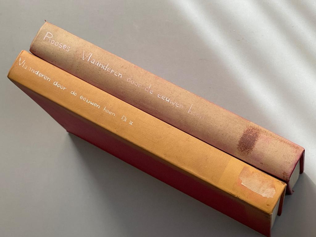 Vlaanderen door de eeuwen heen (2 delen) Door Max Rooses, Ophalen of Verzenden, 19e eeuw, Zo goed als nieuw