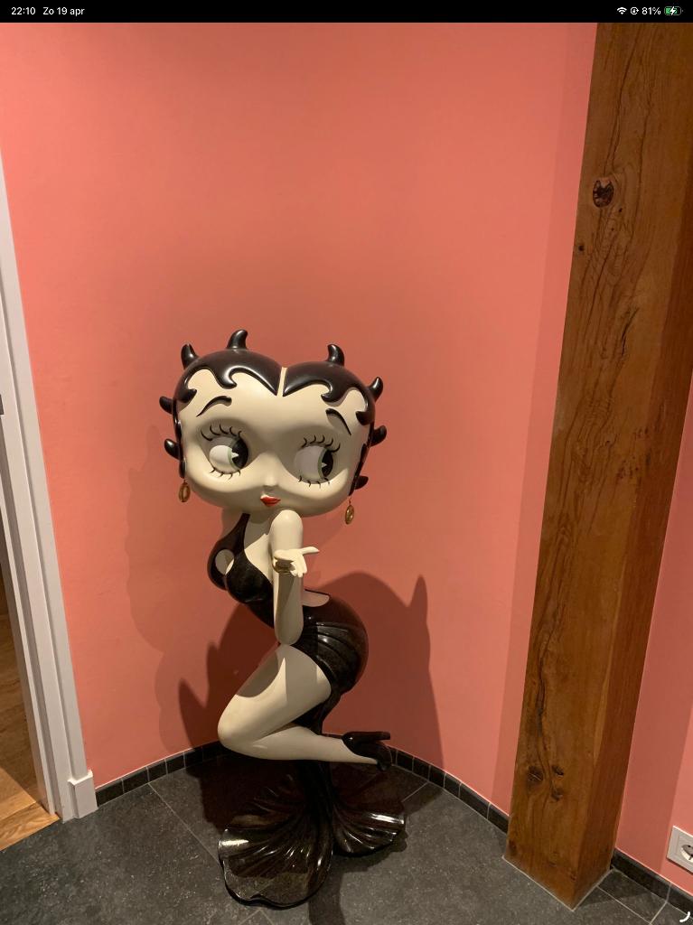 Super mooie Betty Boop, Ophalen, Zo goed als nieuw, Mens