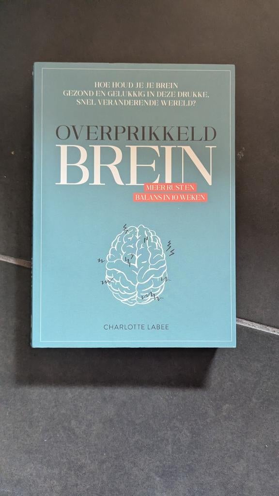 Charlotte Labee - Overprikkeld brein, Ophalen of Verzenden, Zo goed als nieuw, Charlotte Labee