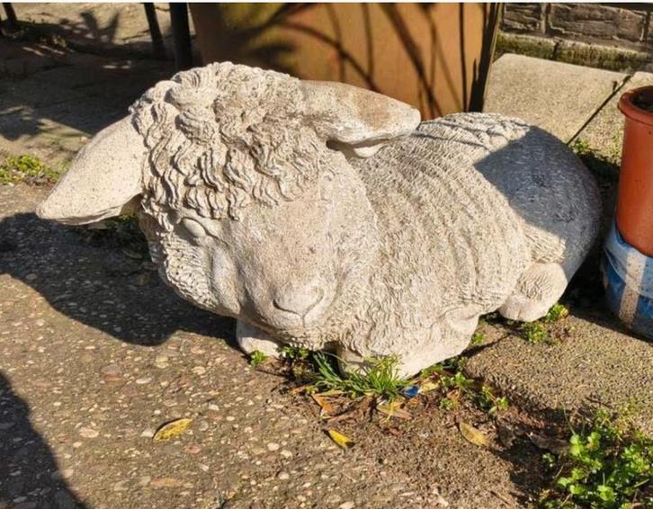 tuinbeeld schaapje Beeld, Tuin en Terras, Tuinbeelden, Gebruikt, Dierenbeeld, Steen, Ophalen