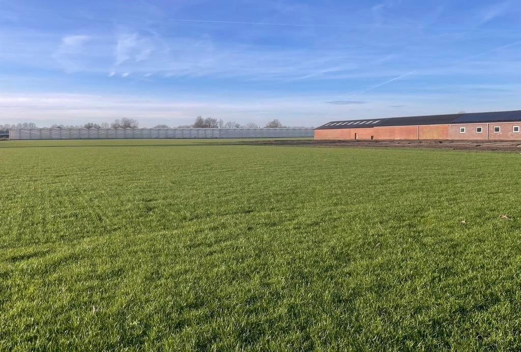 Paarden wei te huur met stalling, Dieren en Toebehoren, Stalling en Weidegang, Stalling