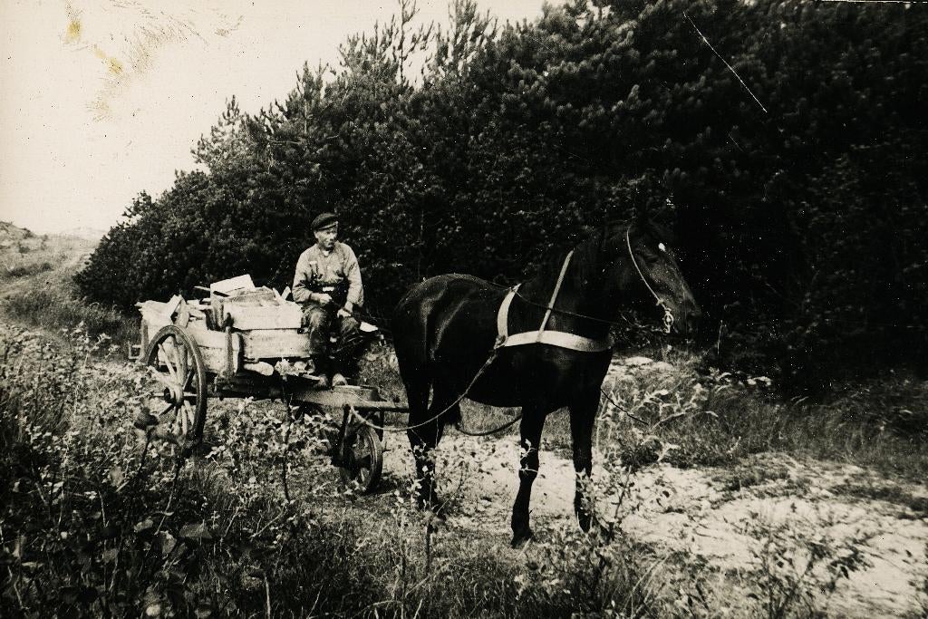 Vlieland, Foto, Nieuw, Ophalen of Verzenden, Voor 1940