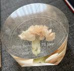 Anjer WNF Prins Bernhard 75 jaar 1975 in hars, Verzenden, Gebruikt, Nederland, Overige typen