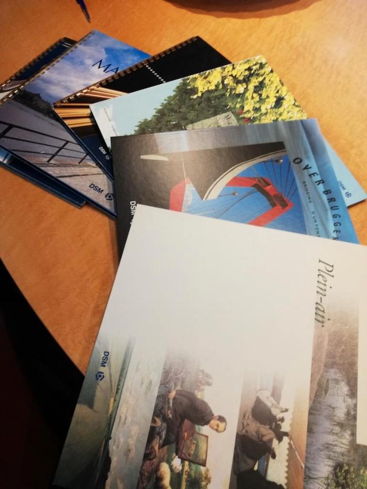 DSM Kalenders, Diversen, Kalenders, Zo goed als nieuw, Maandkalender, Ophalen of Verzenden