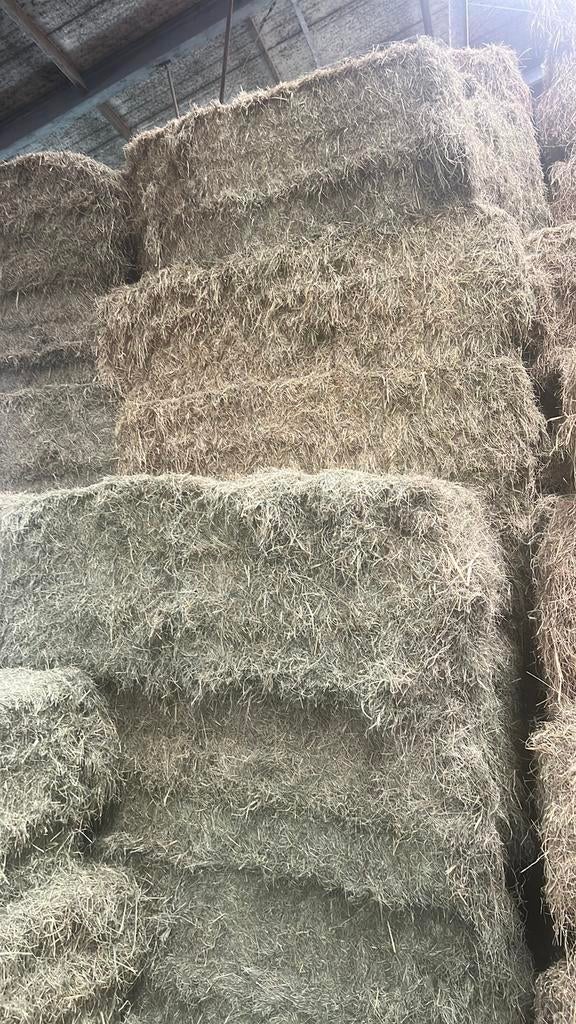 Te koop paardenhooi laag suikergehalte mooi droog, Ophalen of Verzenden, Vee