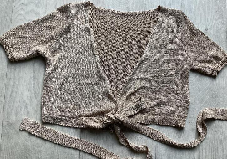 beige/goudkleurige vest / bolero maat XL, Kleding | Dames, Truien en Vesten, Zo goed als nieuw, Maat 46/48 (XL) of groter, Beige