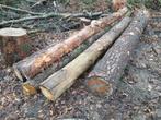 Dennen brandhout stammen, 3 tot 6 m³, Ophalen, Overige houtsoorten, Stammen