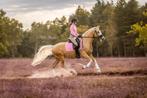 Prachtige Palomino E pony ruin, Ruin, 3 tot 6 jaar