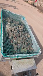 Tegels 10x10 11m2, Ophalen of Verzenden