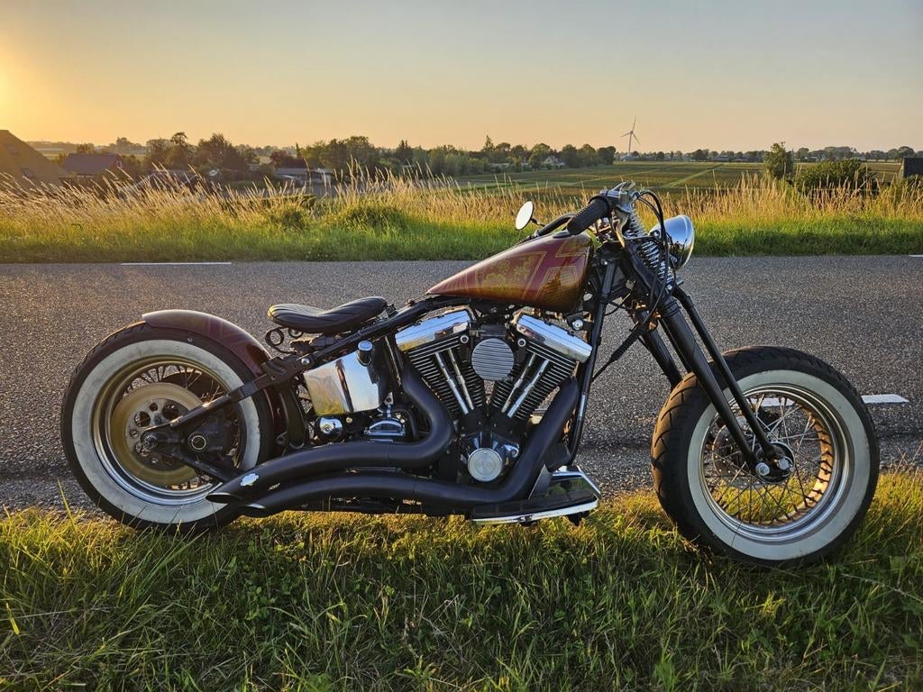 Unieke Harley-Davidson FLSTC Softail Custom (1995) Evo, 2 cilinders, Sportuitlaat, Gebruikt, Particulier