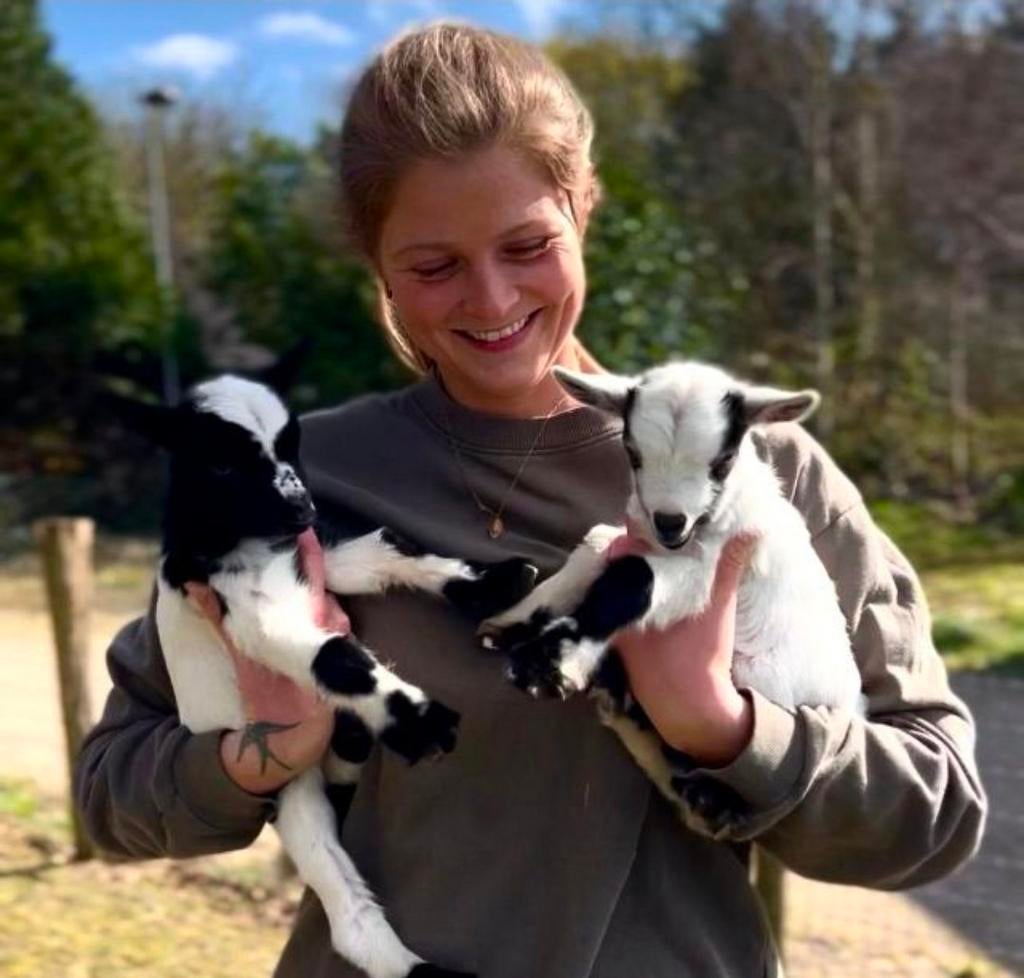 Betrouwbare dierenoppas aan huis aangeboden omgeving Didam, Diensten en Vakmensen, Dieren | Honden | Verzorging, Oppas en Les